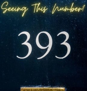393 meaning for twin flames